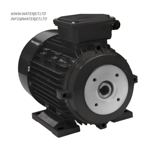 Hollow shaft 4/5.5kw lisu motor with EAC - Image 4